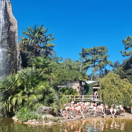 Stunning In With Wifi Сasa de vacaciones Saint-Palais-sur-Mer